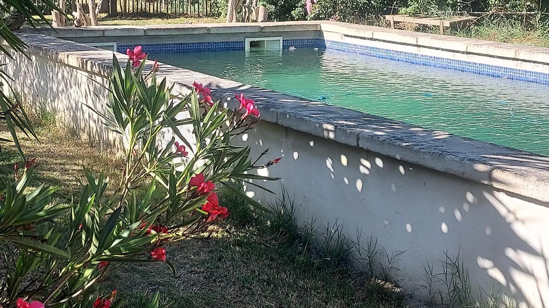 Bed and Breakfast Bergerie D'Alivon En Camargue Arles Francia