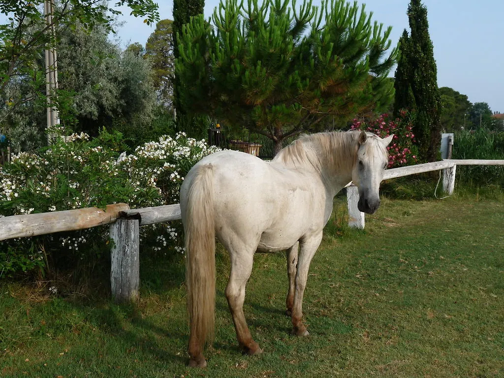 Bed & Breakfast Bed and Breakfast Bergerie D'Alivon En Camargue Arles