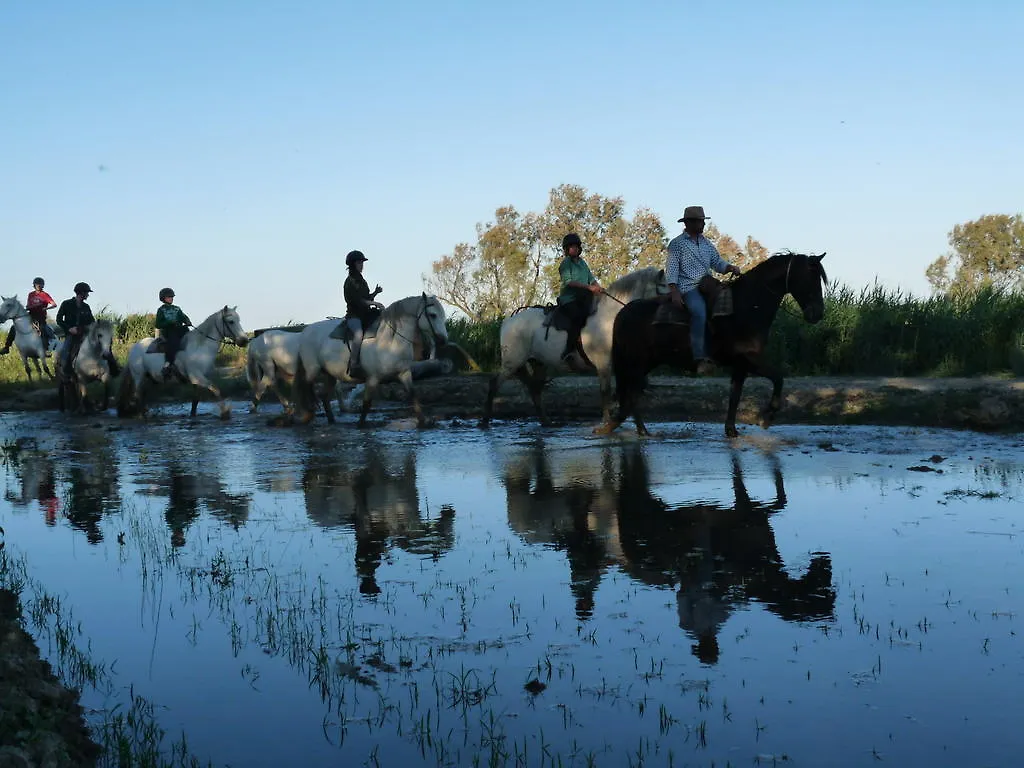 Bed and Breakfast Bergerie D'Alivon En Camargue Arles