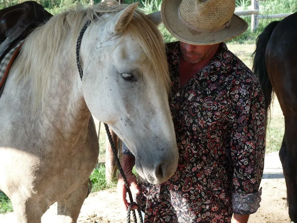 Bed and Breakfast Bergerie D'Alivon En Camargue Arles